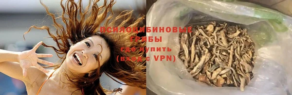индика Лихославль