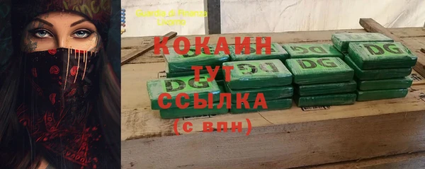 индика Лихославль