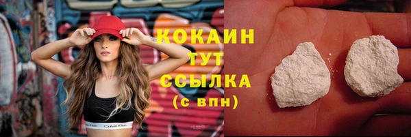 индика Лихославль