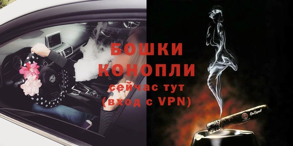 индика Лихославль