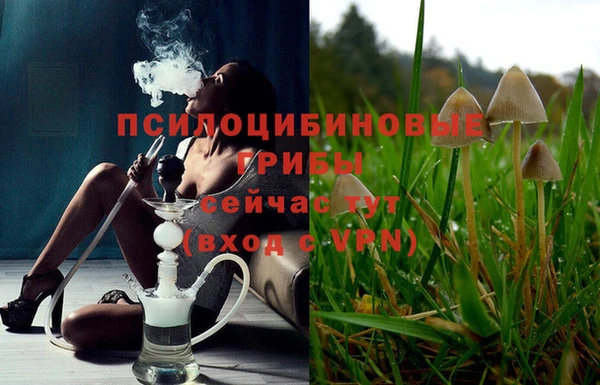 гашик Лиски
