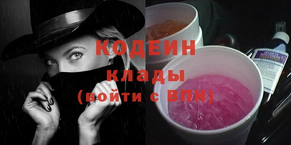 индика Лихославль