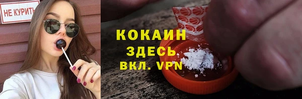 индика Лихославль