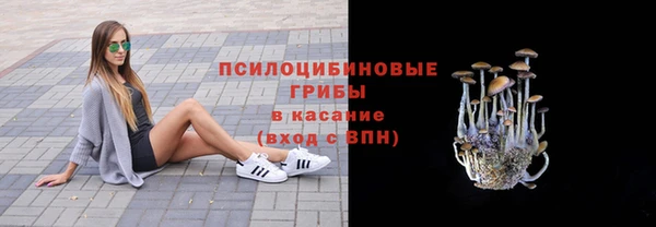 гашик Лиски