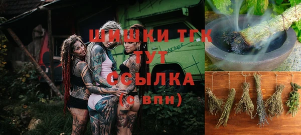 индика Лихославль