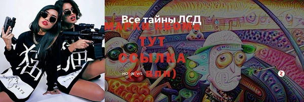 индика Лихославль