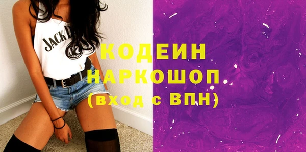 индика Лихославль
