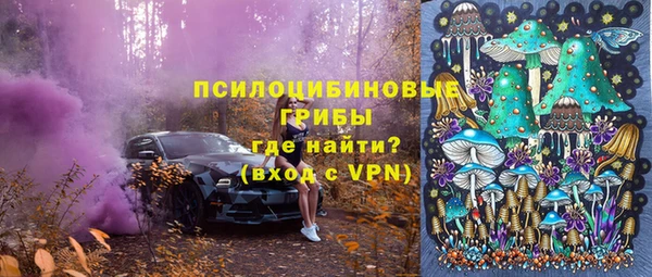 гашик Лиски