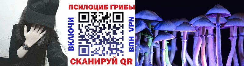 Галлюциногенные грибы Psilocybe  Купить  Яровое 