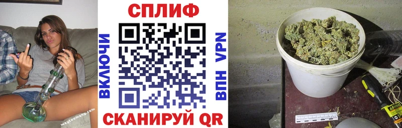 Купить где  Яровое  Конопля индика 